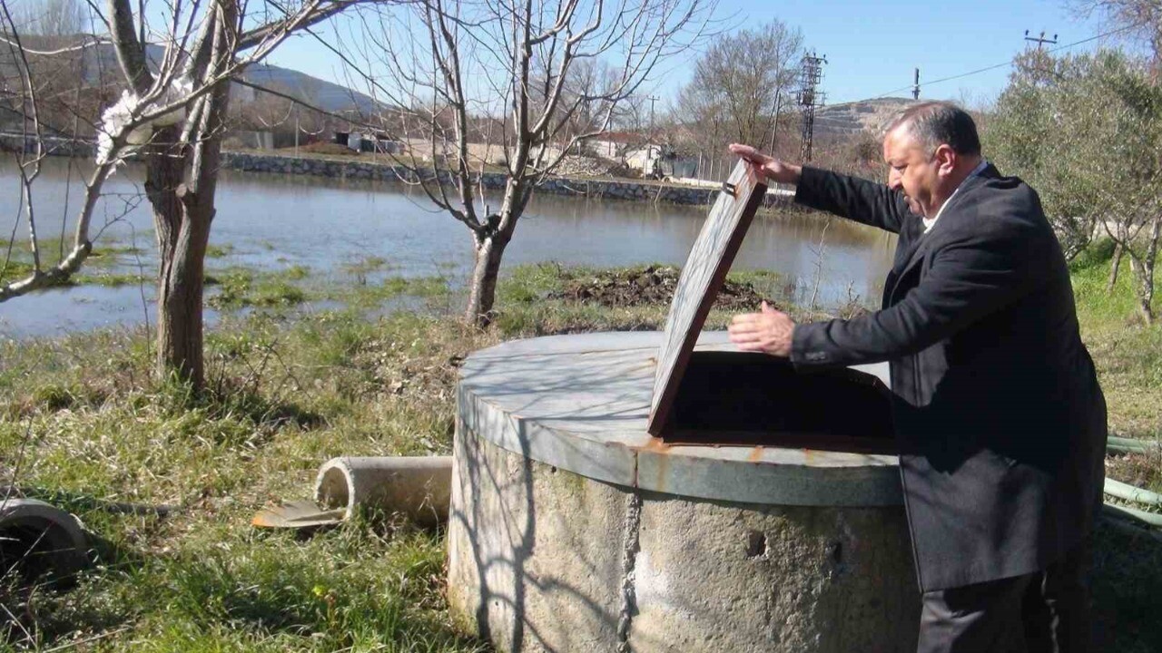 Muğla’da son yağışlar çiftçiyi sevindirdi